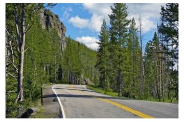 Yellowstone National Park tour